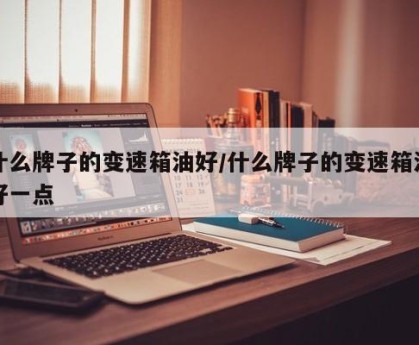 什么牌子的变速箱油好/什么牌子的变速箱油好一点