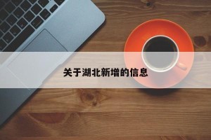 关于湖北新增的信息