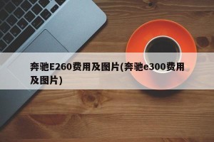 奔驰E260费用及图片(奔驰e300费用及图片)