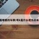 粤k是哪里的车牌/粤k是什么地方的车牌号