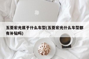 五菱宏光属于什么车型(五菱宏光什么车型都有补贴吗)