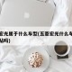 五菱宏光属于什么车型(五菱宏光什么车型都有补贴吗)