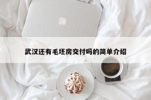武汉还有毛坯房交付吗的简单介绍