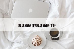 变速箱操作/变速箱操作杆