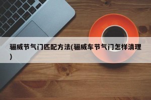 骊威节气门匹配方法(骊威车节气门怎样清理)