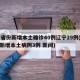 31省份新增本土确诊40例辽宁29例(辽宁新增本土病例3例 新闻)