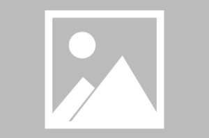 美国新冠疫情/美国新冠疫情死亡人数总共有多少