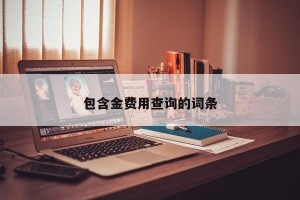 包含金费用查询的词条