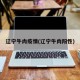 辽宁牛肉疫情(辽宁牛肉阳性)