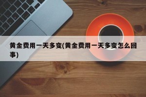 黄金费用一天多变(黄金费用一天多变怎么回事)