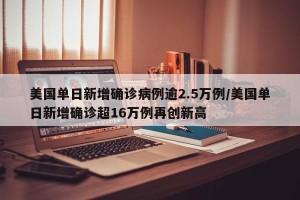 美国单日新增确诊病例逾2.5万例/美国单日新增确诊超16万例再创新高