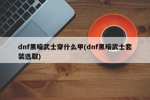 dnf黑暗武士穿什么甲(dnf黑暗武士套装选取)
