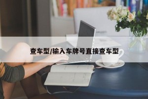 查车型/输入车牌号直接查车型