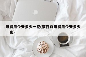 银费用今天多少一克(菜百白银费用今天多少一克)