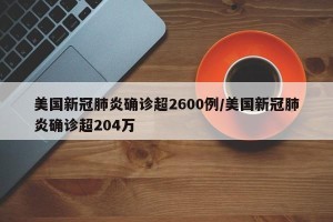 美国新冠肺炎确诊超2600例/美国新冠肺炎确诊超204万
