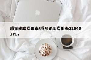 威狮轮胎费用表/威狮轮胎费用表22545Zr17