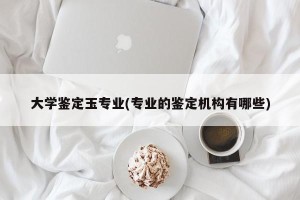大学鉴定玉专业(专业的鉴定机构有哪些)