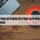 客厅隔卧室效果图/客厅隔卧室效果图2024年新款