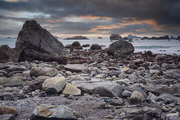映山红在我国的分布是什么？