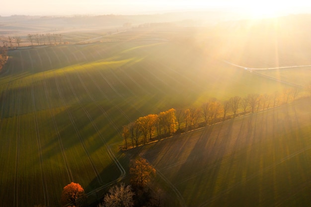 普通人是common man 还是 normal man